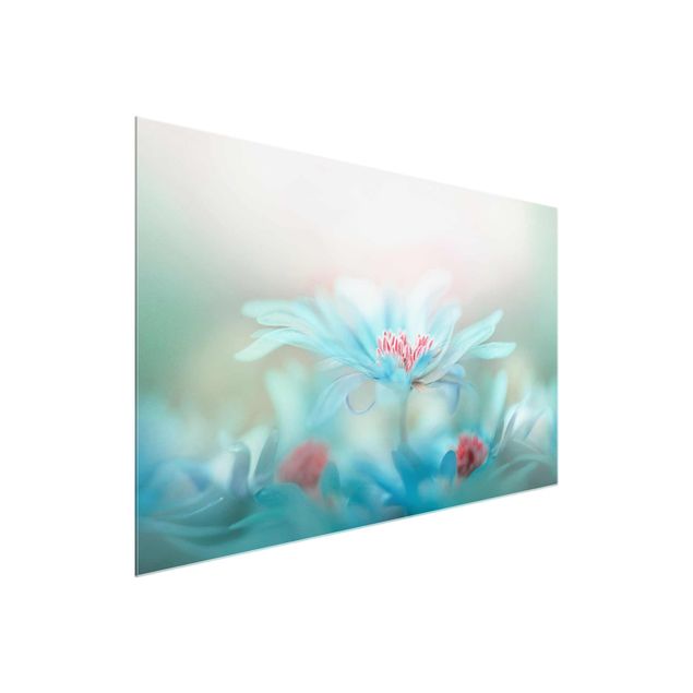 Glass print - Delicate Flowers In Pastel