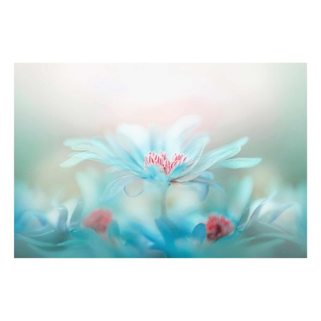 Glass print - Delicate Flowers In Pastel