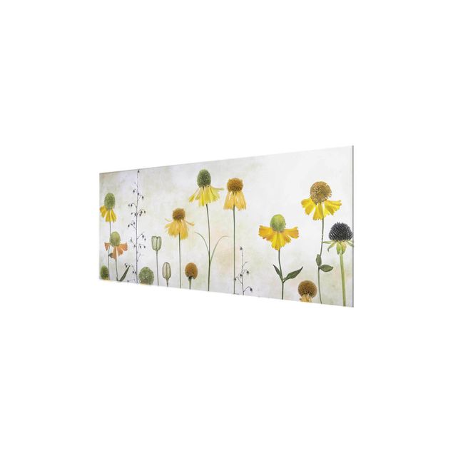 Glass print - Delicate Helenium Flowers