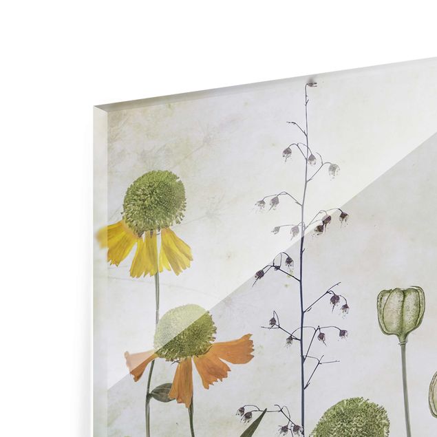 Glass print - Delicate Helenium Flowers