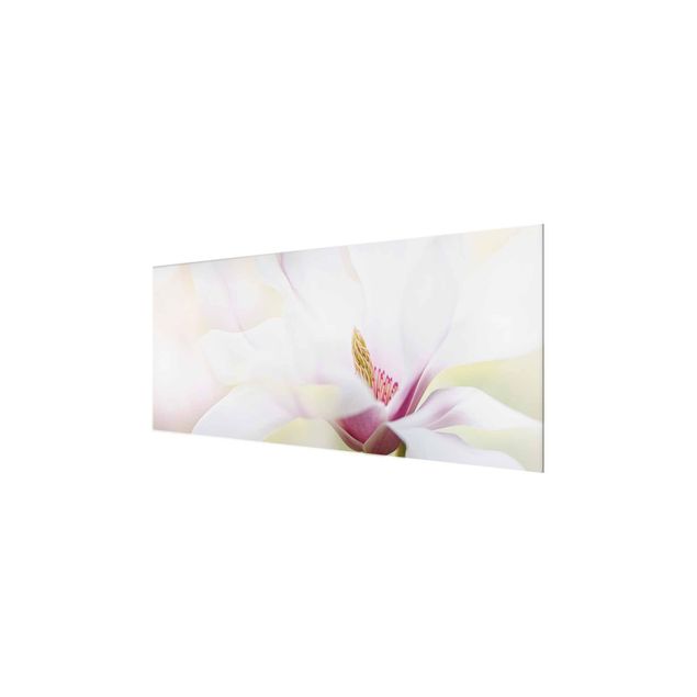 Glass print - Delicate Magnolia Blossom