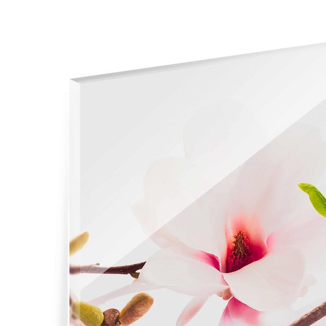 Glass print - Delicate Magnolia Branch