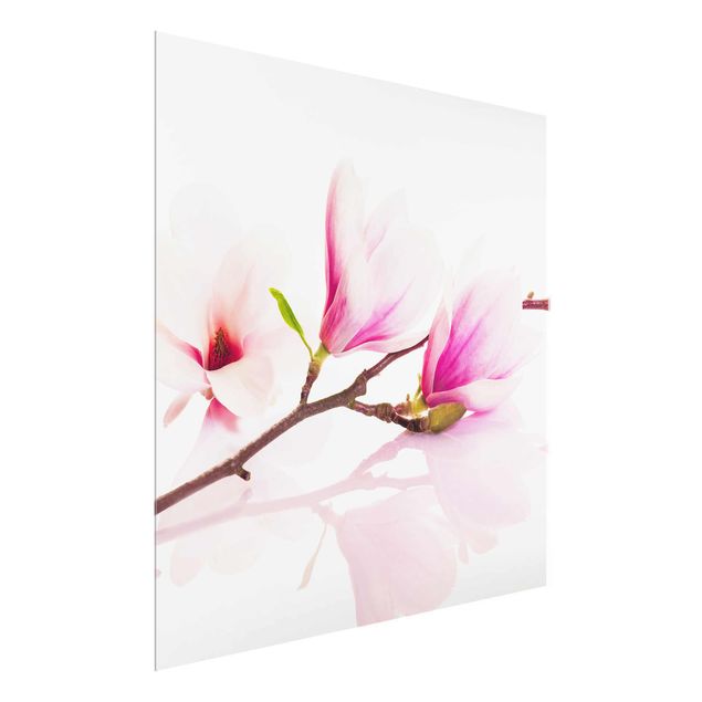 Glass print - Delicate Magnolia Branch