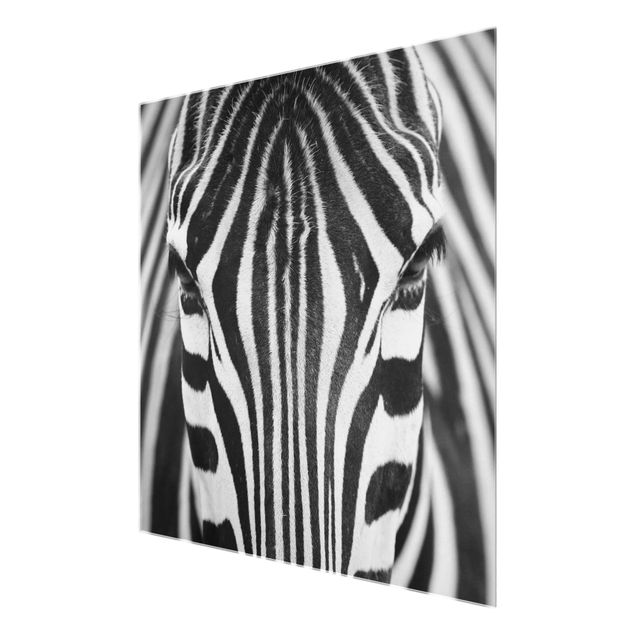 Glass print - Zebra Look