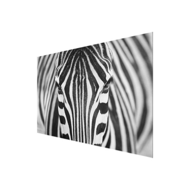 Glass print - Zebra Look