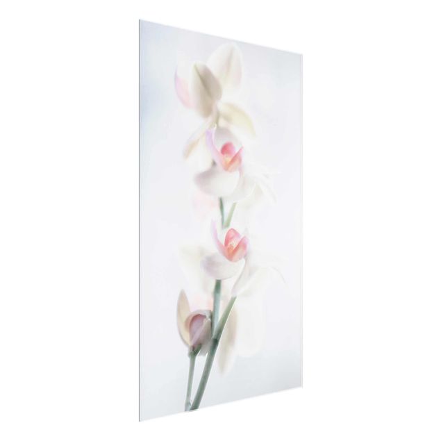 Glass print - Delicate Orchid
