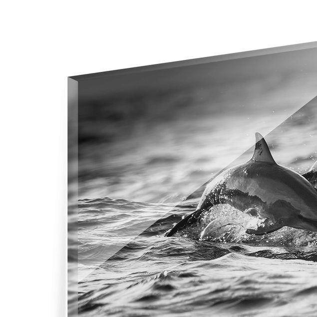 Glass print - Two Jumping Dolphins