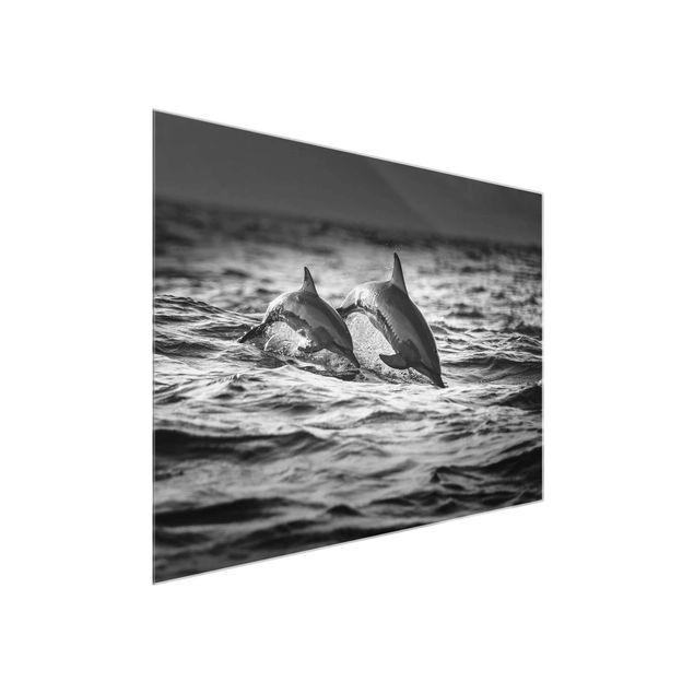 Glass print - Two Jumping Dolphins