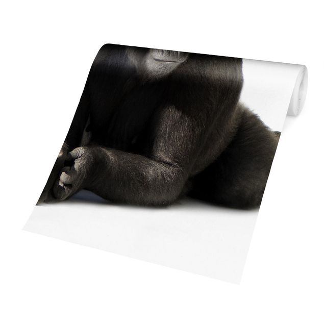 Wallpaper - Gorilla I