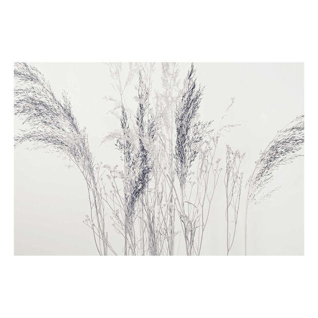 Glass print - Variations Of Grass
