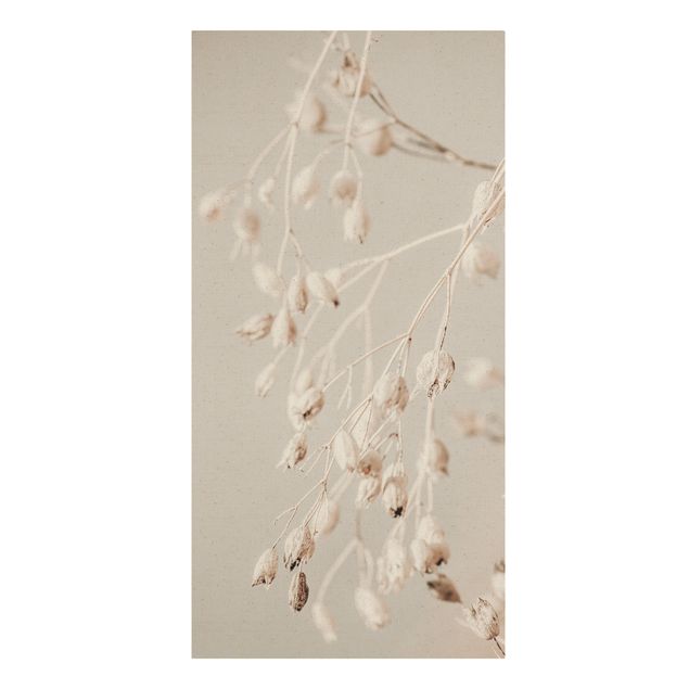 Natural canvas print - Hanging Dried Buds - Portrait format 1:2