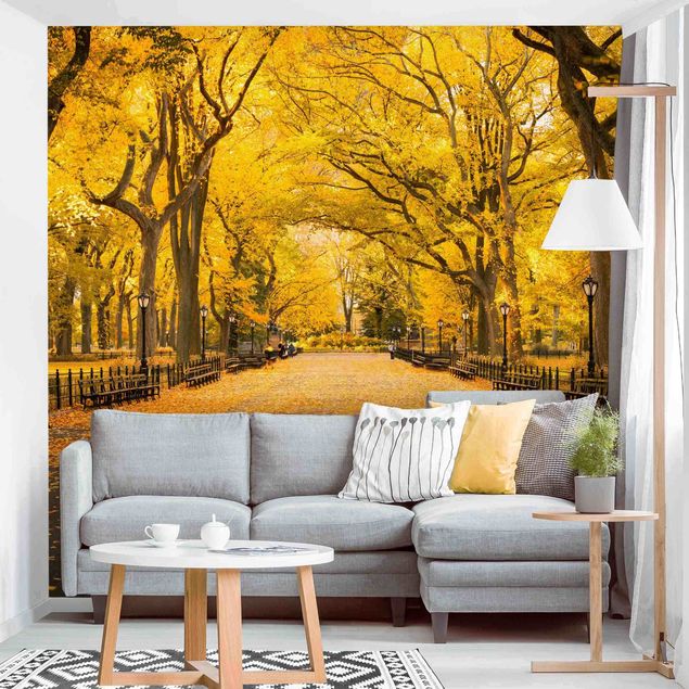 Wallpaper - Autumn In Central Park
