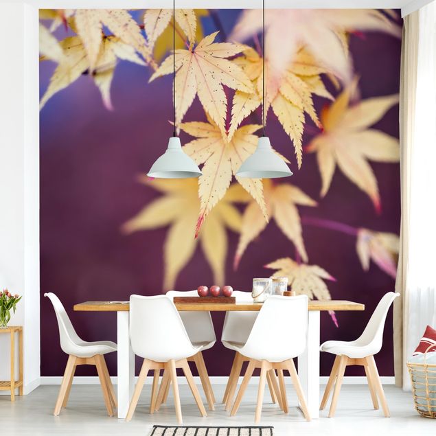 Wallpapers Autumn Maple Tree