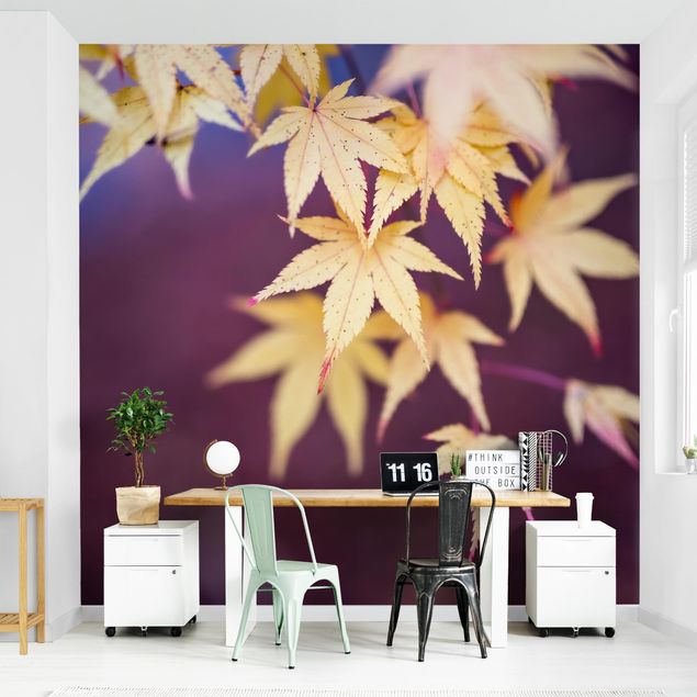 Wallpaper - Autumn Maple Tree