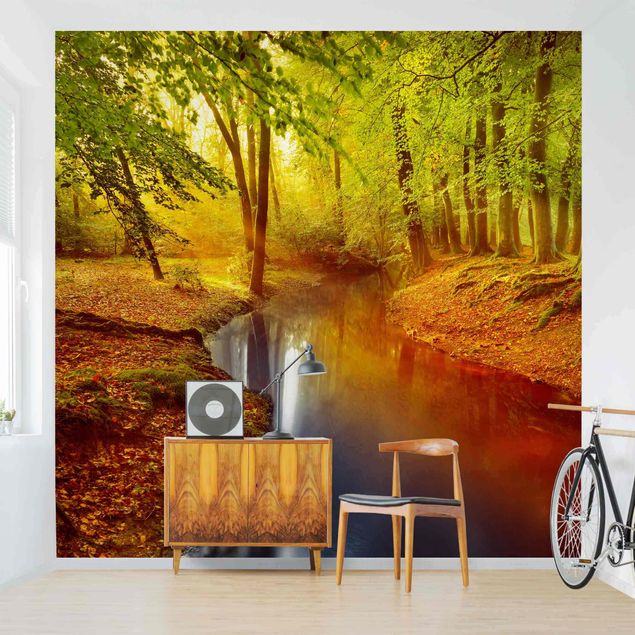 Wallpaper - Autumn Forest