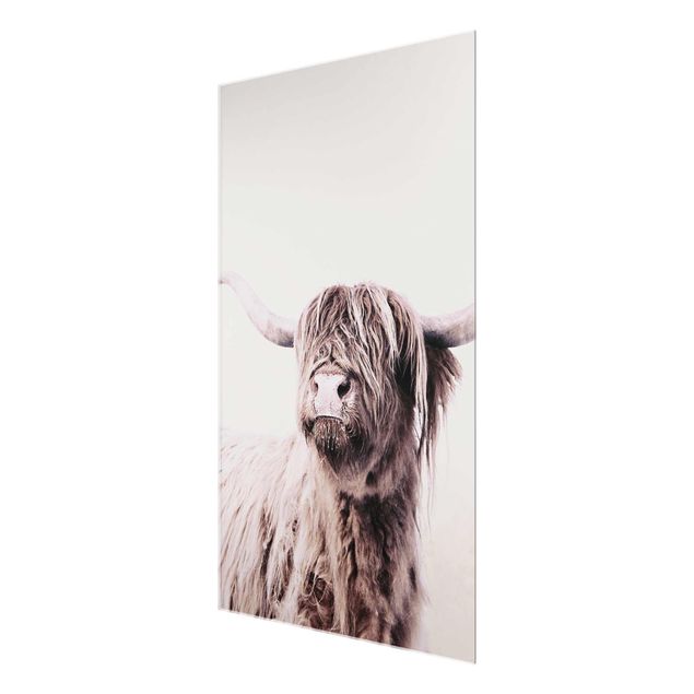 Glass print - Highland Cattle Frida In Beige