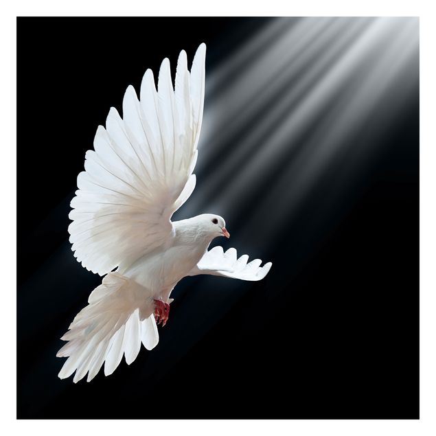 Wallpaper - Holy Dove