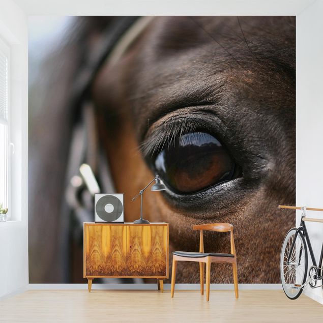 Wallpaper - Horse Eye