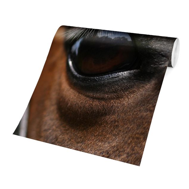 Wallpaper - Horse Eye