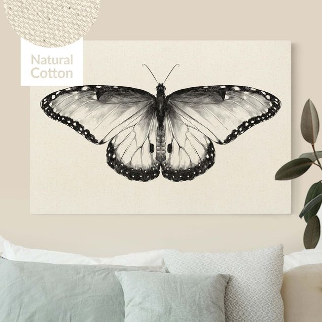 Natural canvas print - Illustration Flying Common Morpho Black  - Landscape format 3:2