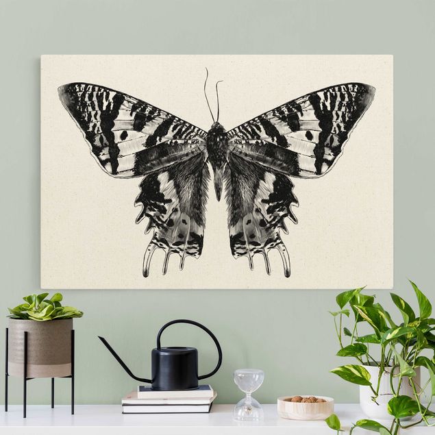 Natural canvas print - Illustration Flying Madagascan Butterfly - Landscape format 3:2