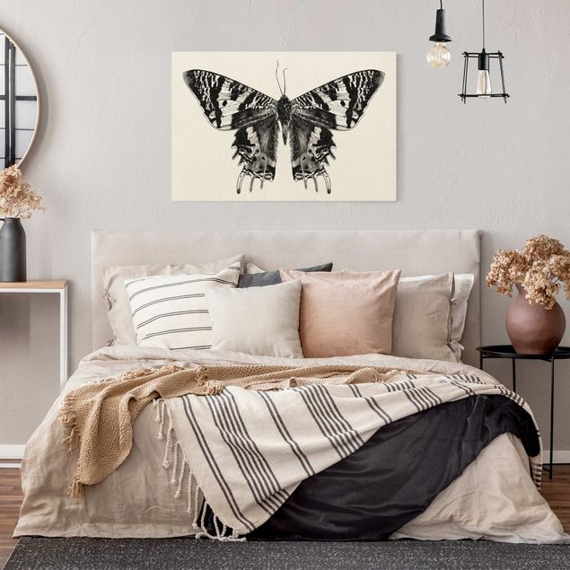 Natural canvas print - Illustration Flying Madagascan Butterfly - Landscape format 3:2