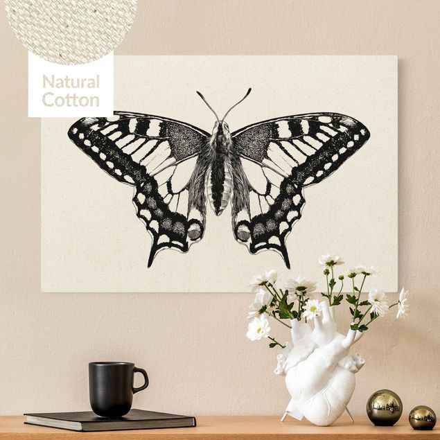 Natural canvas print - Illustration Flying Dovetail Black - Landscape format 3:2