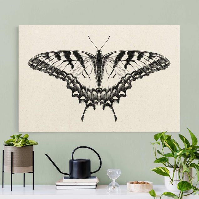 Natural canvas print - Illustration Flying Tiger Swallowtail Black - Landscape format 3:2