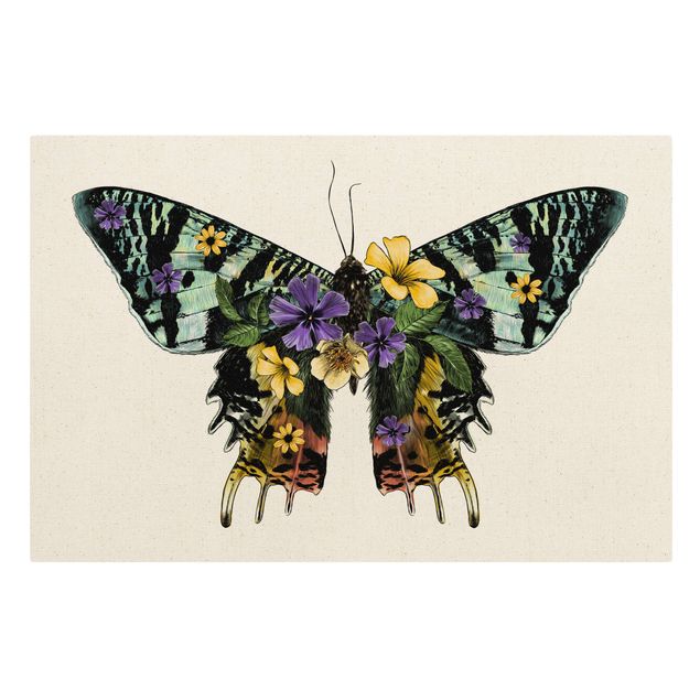 Natural canvas print - Illustration Floral Madagascan Butterfly - Landscape format 3:2