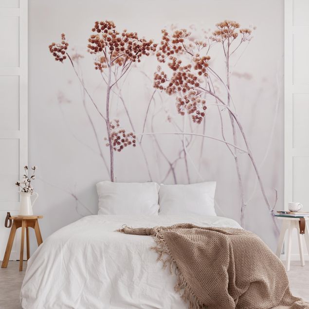 Wallpaper - Icelandic Wild Flowers