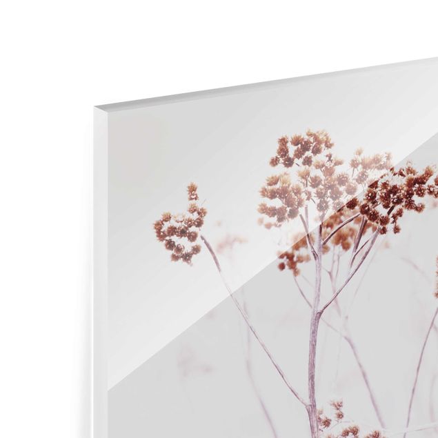 Glass print - Icelandic Wild Flowers