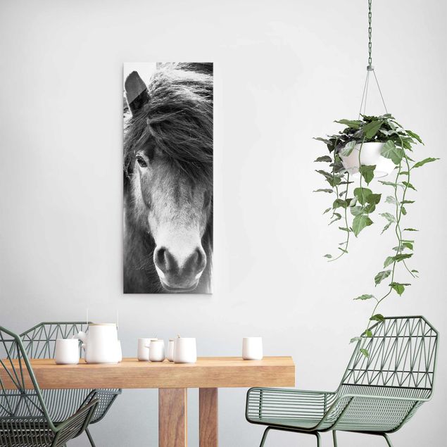 Glass print - Icelandic Horse In Black And White