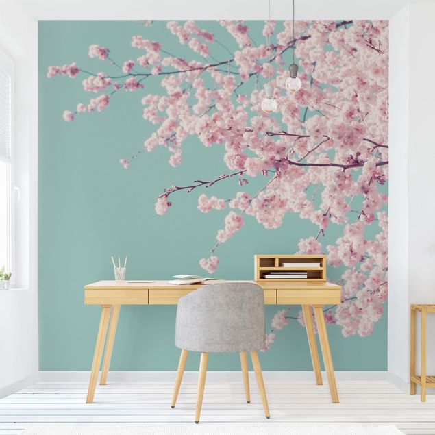 Walpaper - Japanese Cherry Blossoms