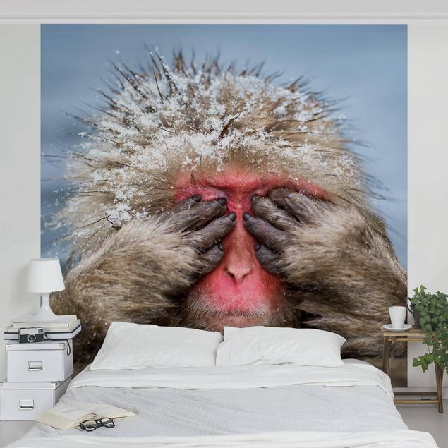 Wallpaper - Japanese Macaque