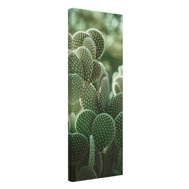 Natural canvas print - Cacti - Portrait format 1:3