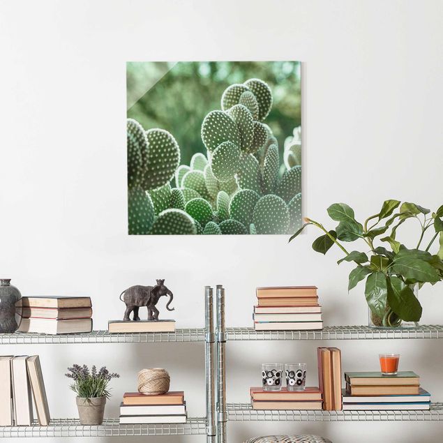 Glass print - Cacti