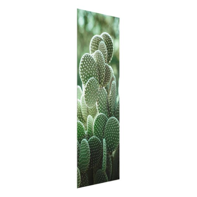 Glass print - Cacti