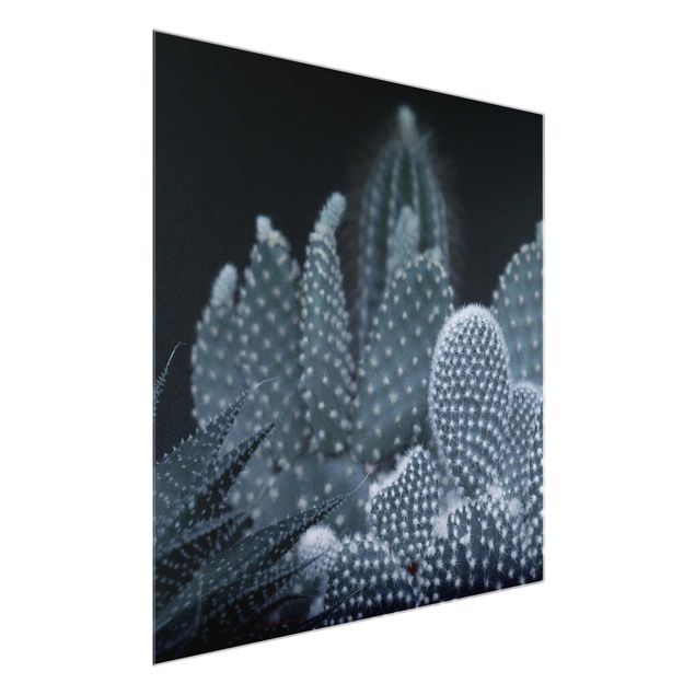 Glass print - Familiy Of Cacti At Night
