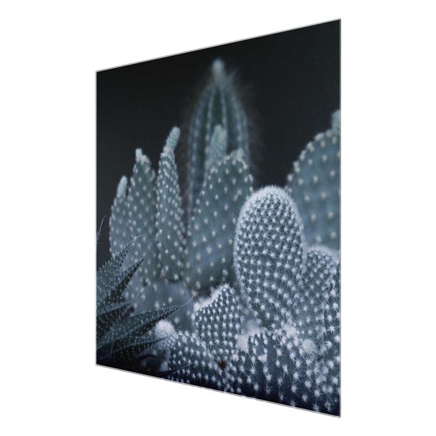 Glass print - Familiy Of Cacti At Night