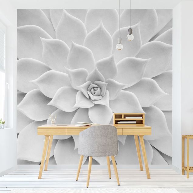 Wallpaper - Cactus Succulent