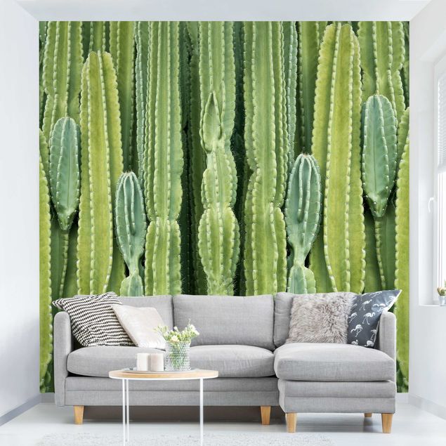 Wallpapers Cactus Wall