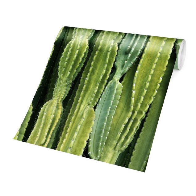Wallpaper - Cactus Wall
