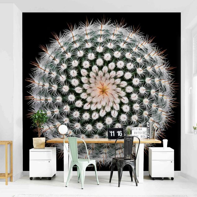 Wallpaper - Cactus Flower