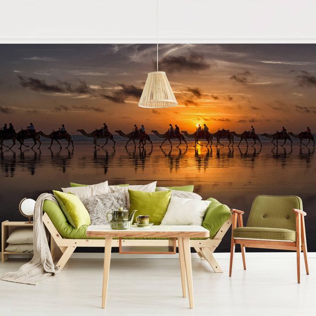 Wallpapers Camel Safari