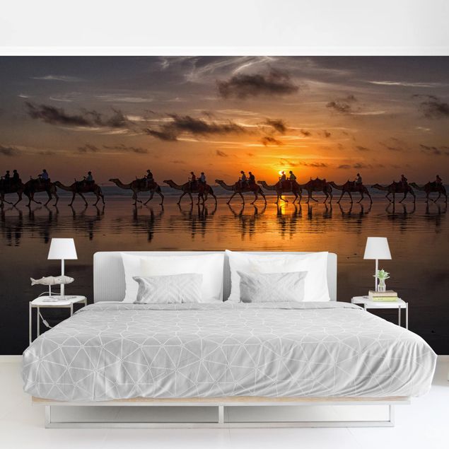Wallpaper - Camel Safari