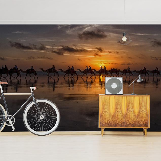 Wallpaper - Camel Safari