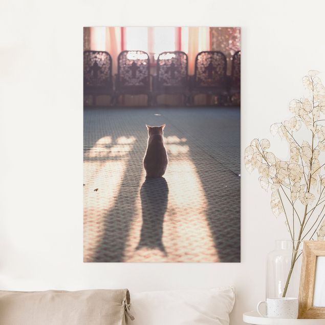 Matteo Colombo prints Cat In Light Beam