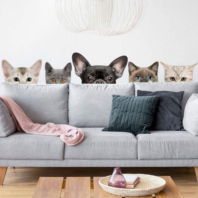 Wall stickers cat Cats with dog look