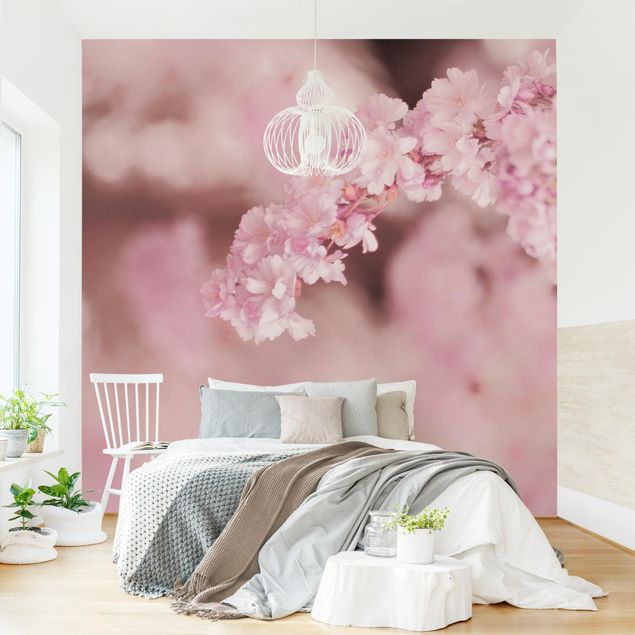 Wallpaper - Cherry Blossoms In Purple Light