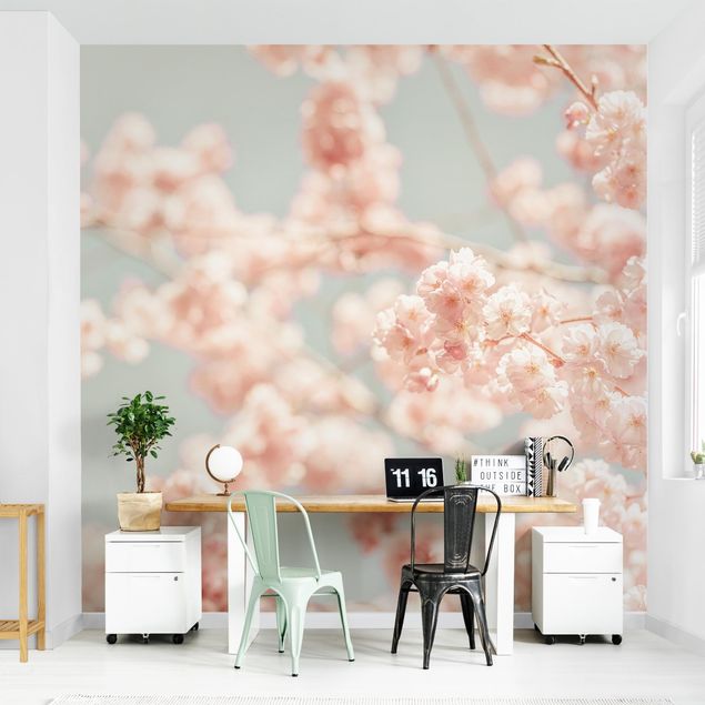 Walpaper - Cherry Blossom Glow